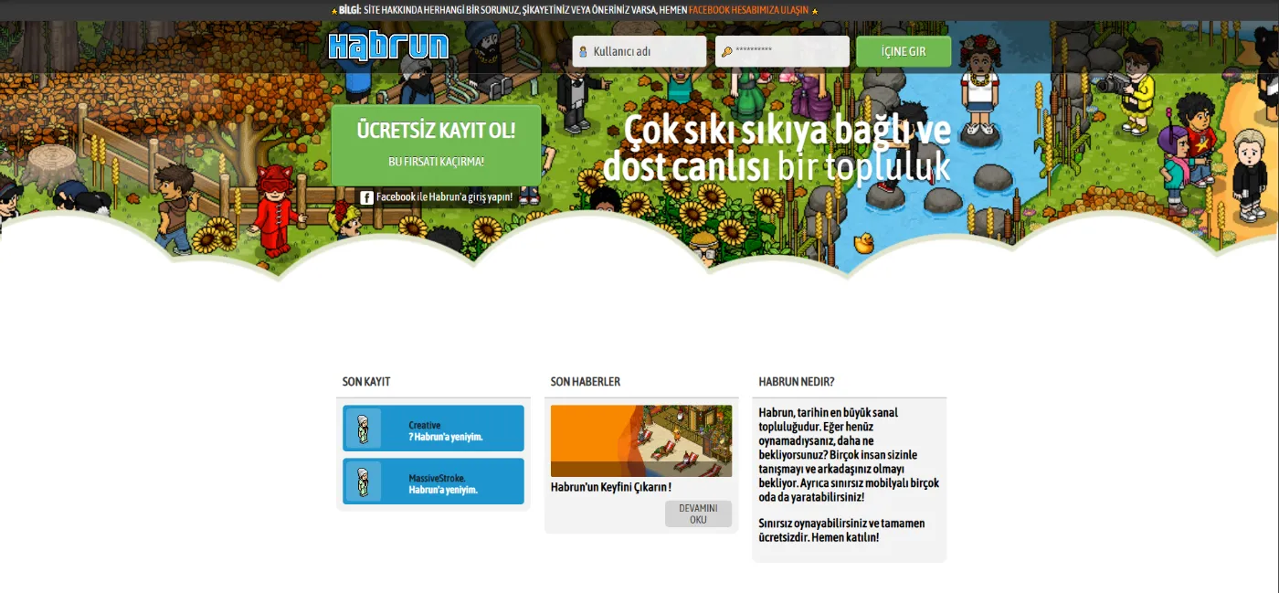 Kurumsal web sitesi örnek ana sayfa